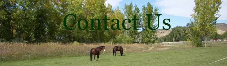 Contact Us Title