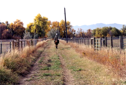 Path