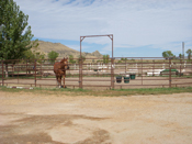 Round Pen