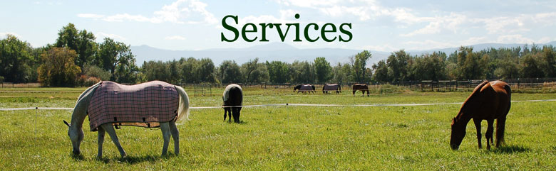 Services Title