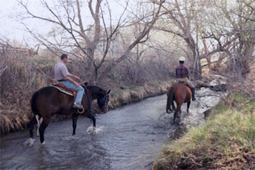 Creek