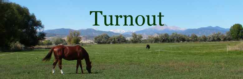 TURNOUT TITLE