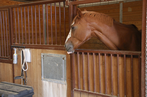 Stall